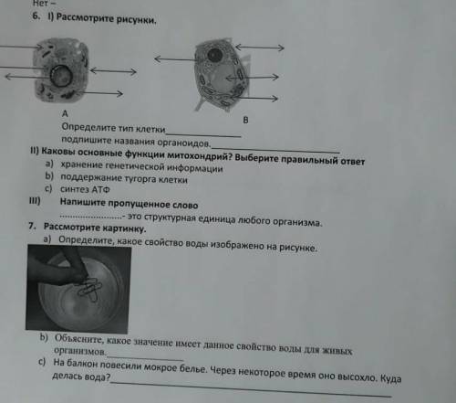 и 7 задание (все балы отдаю)​