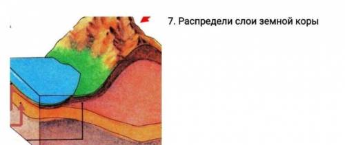Распредели слой земной коры ​