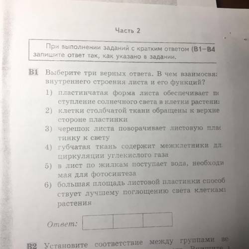 ￼￼ Выберите три верных ответа. В чем взаимосвязь внутреннего строения листа и его функции?￼