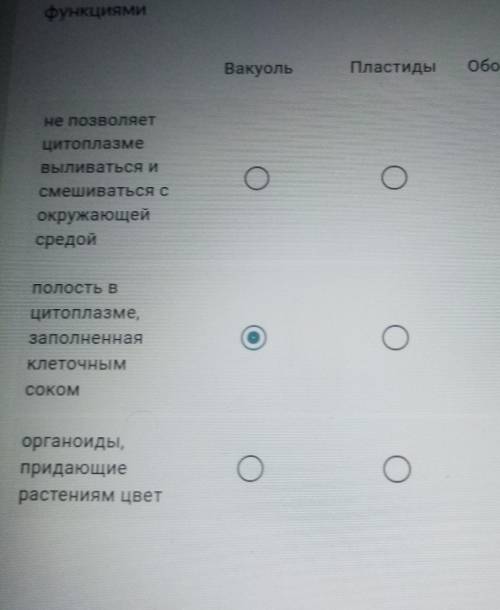 Вакуоль ПластидыоболочНе позволяетЦитоплазмевыливаться исмешиваться сокружающейсредойполость вцитопл