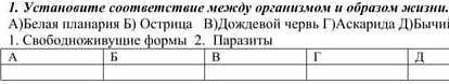 Установите соответсвие между организмом и образом жизни а)белая планария б)дождевой червьг)аскаридад