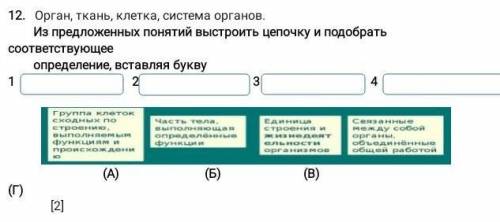 Орган,ткань,клетка,система органов из предложеных понятий выстроить цепочку и подобрать соответствую