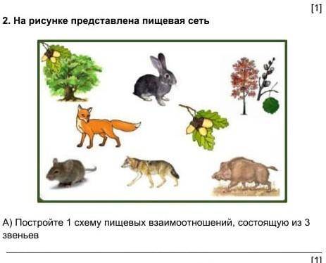 Постройте одну схему пищевые взаимоотношений состоящий из трех звеньев надо​