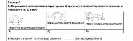 На рисунках представлены структуры формы углеаодов. Определите названия и подпишите их