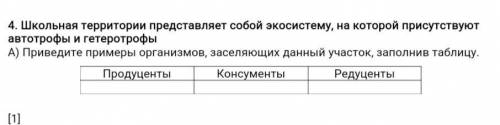 Школьная территории представляет собой экосистему на которой присутствуют автотрофы и гетеротрофы