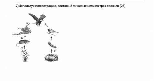 7)Используя иллюстрацию, составь 2 пищевых цепи из трех звеньев (2б)​