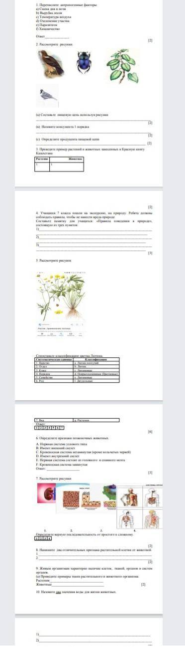 СОЧ 7класс за 1 четверть Биология. дам​
