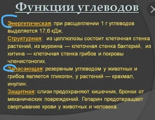 нужно перечислить 2 общие функции углеводов и липидов