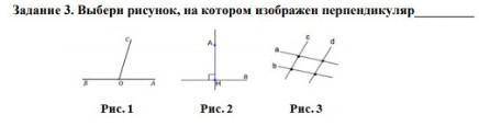 Выбери рисунок на котором изображен перпеденкуляр ​