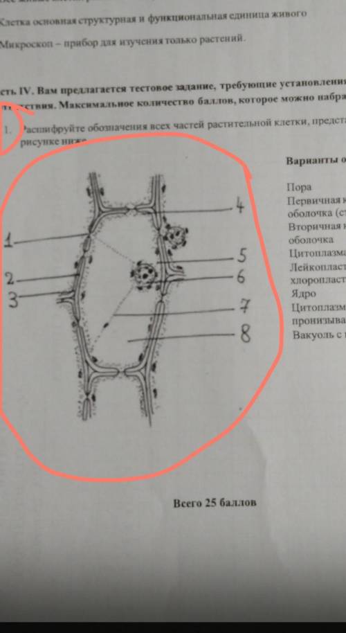 Расшифруйте обозначения всех частей растительной клетки ​