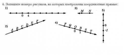 с сочем вот задание у меня сейчас СОЧ ​