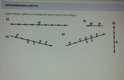 ЭТО ТЖБ. ОСТАЛОСЬ СЕВОЛИШЬ 15-МИНУТ ​