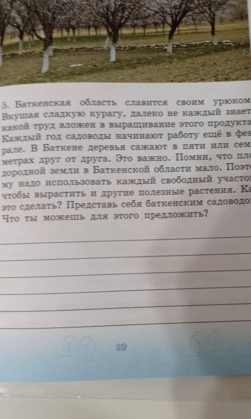 баткенская область и славится своим другом вкушая сладкую курагу далеко не каждый знает какой труд в