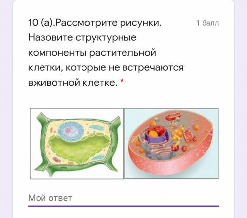 Ээ клетка растения 2.чья ?..​