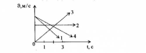 На рисунке представлены графики зависимости модуля движения четырех тел от времени. Эти тела движутс