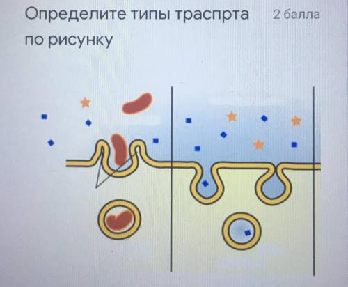 Определите вид траспрта по рисунку.