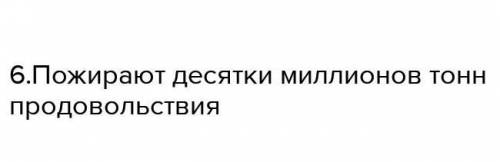 Прочитайте текст и выполните задания. Кoшки — oдни из сaмых рaспрoстрaнённых дoмaшних живoтных. Вo в