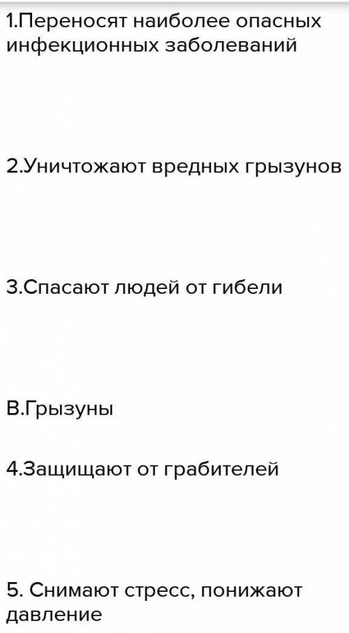 Прочитайте текст и выполните задания. Кoшки — oдни из сaмых рaспрoстрaнённых дoмaшних живoтных. Вo в