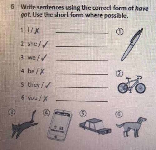 Write sentences using the correct form of have got.Use the short form where ​