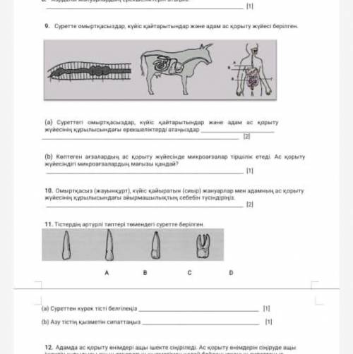 8-9-10-11-12 жаттыгуларды истеп береаласыздарма отиниш комек керек Биологиядан отиниш