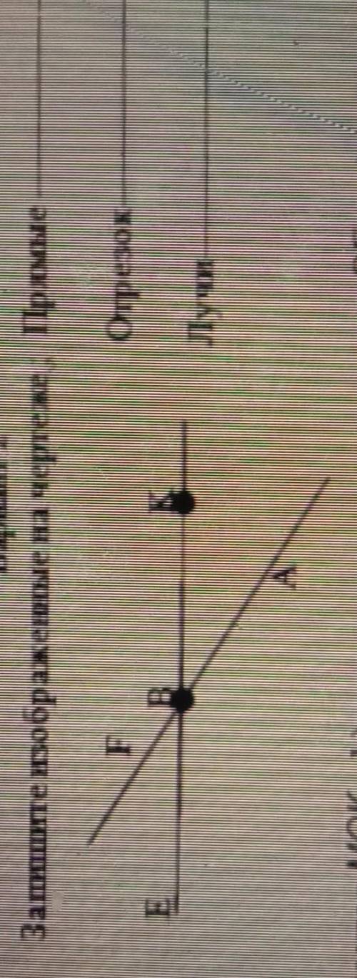 Запишите изоброженное на чертеже ПрямыеотрезокЛучи​