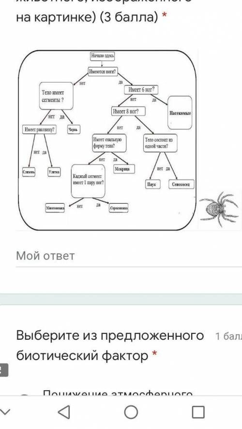 Используя дихотомический ключ, определите беспозвоночное животное, изображенное на рисунке . Покажит