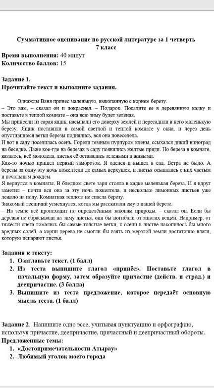 2. Из теста выпишите глагол «принёс». Поставьте глагол в начальную форму, затем образуйте причастие