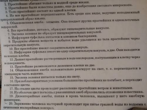 Что нужно делать с этим немогу понять? кому не сложно