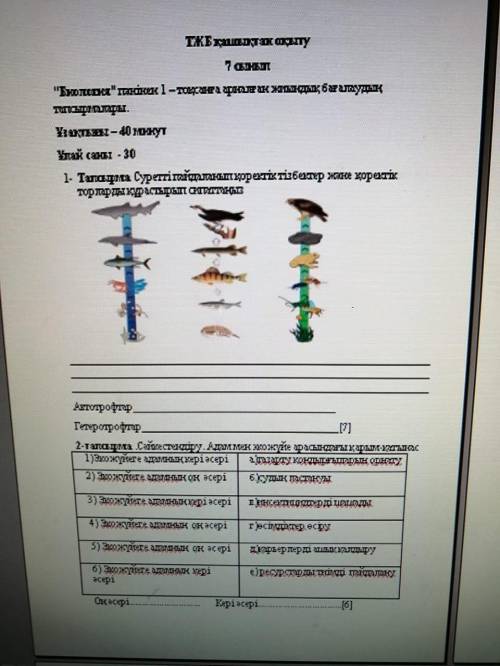 Собрать и описать силовые цепи и электрические сети, используя рисунок