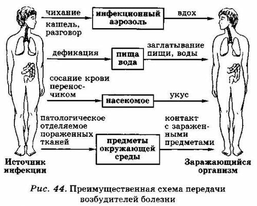 Нарисуйте схему «Пути заражения организма человека инфекционными заболеваниями».​