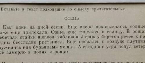 Хелп ми! надо вставить в текст подходящие по смыслу прилагательные. чем больше тем лучше​