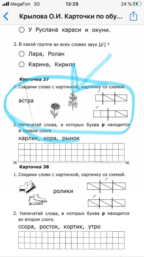 Что за растение рядом с астрой нужно вписать