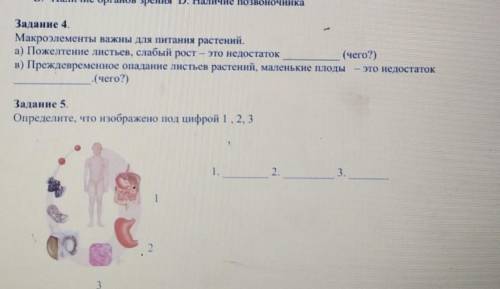 ВСЕ В КАРТИНКЕ ФИГНЮ НЕ ПИСАТЬ БЛОК​