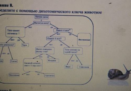 Задание 8.Определите с дихотомического ключа животное​