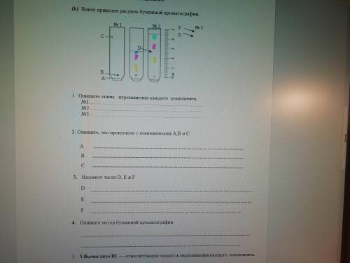 выполнить задания по химии(бумажная хроматография)