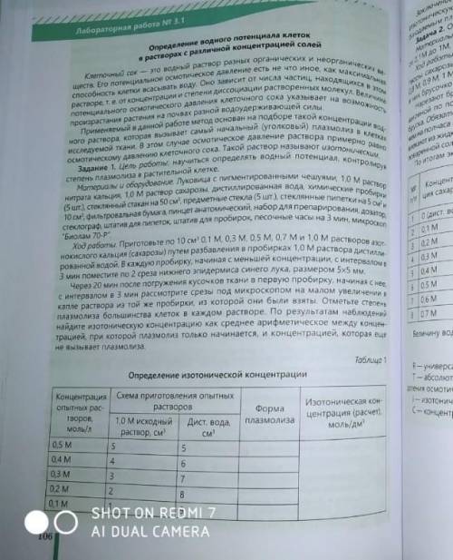 с таблицей в лабораторной работе мне надо сдать до обеда!​