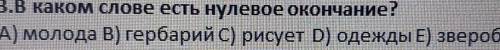 в каком слове есть нулевое окончание ? A) молода B) гербарий C) рисует D)одежды E) зверобой​