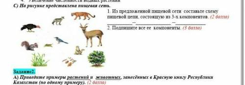 С) На рисунке представлена пищевая сеть. 1. Из предложенной пищевой сети составьте схему пищевой цеп