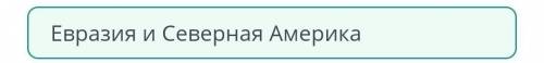 Какие материки относятся к северным материкам? Евразия и Северная АмерикаСеверная Америка и Южная Ам
