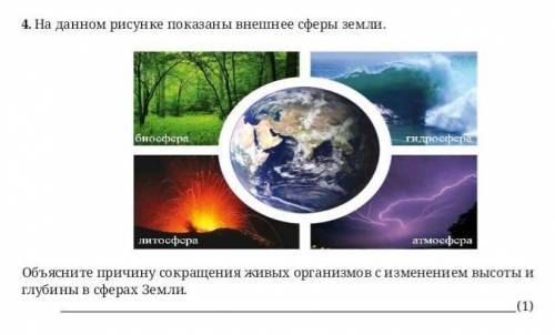 На данном рисунке показаны внешнее сферы земли. Объясните причину сокращения живых организмов с изме