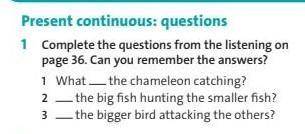 1Complete the questions from the listening on page 36.Can you remember the answers? 1.What the cham