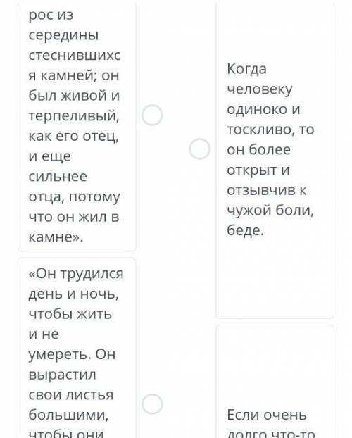 Прочитай рассказ А. Платонова «Неизвестный цветок» и установи соответствие.​