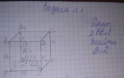 Математика 11 класс Розглянути трикутник BB1DЗнайти : B1D​