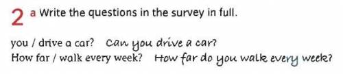 you / drive a car? can you drive a car? how far / walk every week? How far do you walk every week?