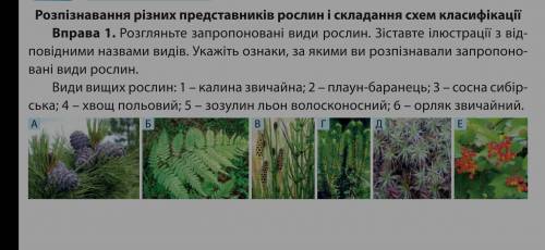 Тема: Вищі рослини Розглянте запропоновані види рослин... класс