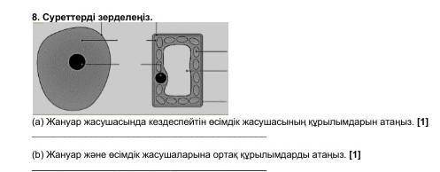 Ребята на казахском языке нужен ответ у меня совсем мало времени​