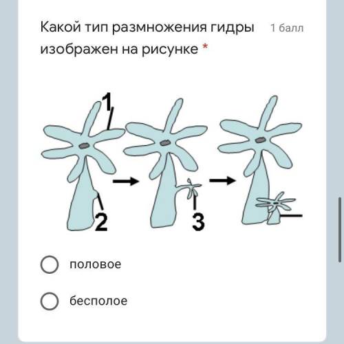 1)Жизненные формы кишечнополостных - это * 1.медузы и полипы 2.гидры и полипы 3.медузы и кораллы 4.п