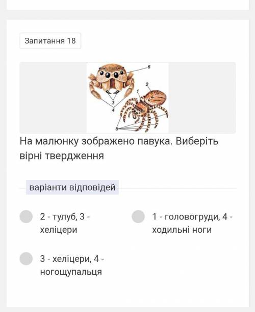 ть тести лом не на самокат трюковий в Україні в мене на самокат трюковий на маршрутці будеш​