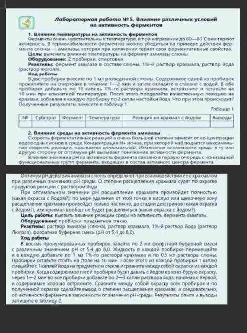 Лабораторная работа No 5. Влияние различных условий на активность ферментов1. Влияние температуры на