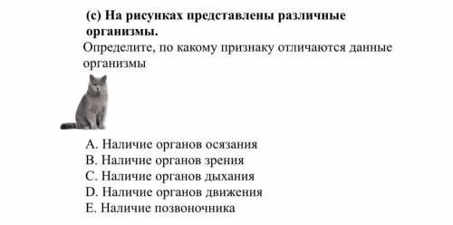 НЕ ЗНАЕТЕ, НЕ ПИШИТЕ кто херь напишет жалобу кину 1. ответьте на вопросы: (a) Какой антропогенный фа